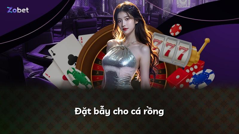 Đặt bẫy cho cá rồng