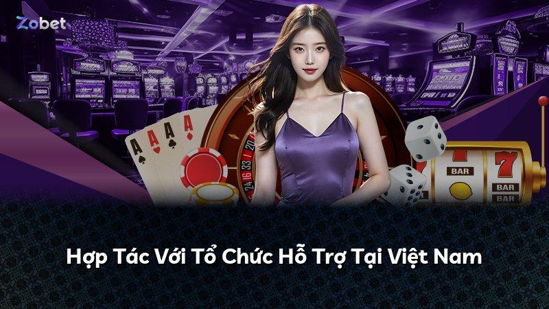 Hợp Tác Với Tổ Chức Hỗ Trợ Tại Việt Nam
