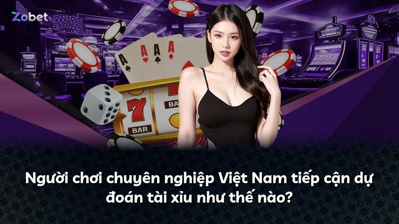 Người chơi chuyên nghiệp Việt Nam tiếp cận dự đoán tài xỉu như thế nào?