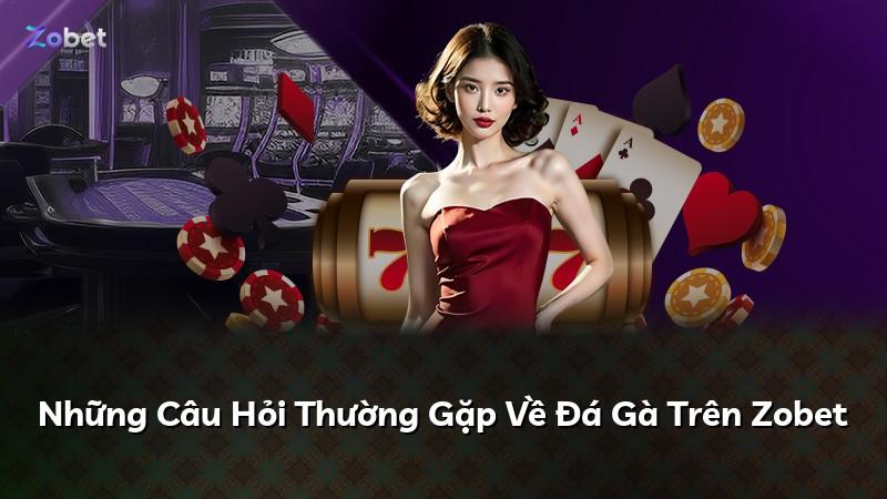 Những Câu Hỏi Thường Gặp Về Đá Gà Trên Zobet