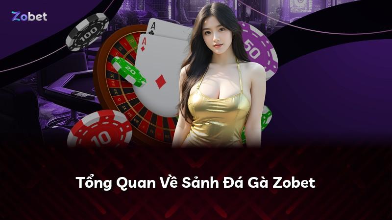 Tổng Quan Về Sảnh Đá Gà Zobet