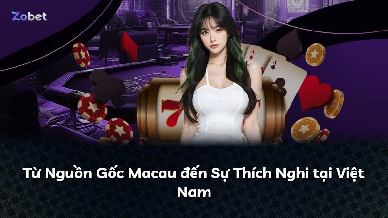 Từ Nguồn Gốc Macau đến Sự Thích Nghi tại Việt Nam